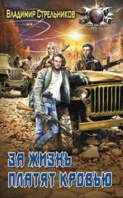 Владимир Стрельников - За жизнь платят кровью