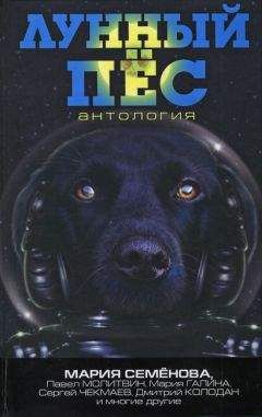 Элин Таш - Скрещение миров - <a href=