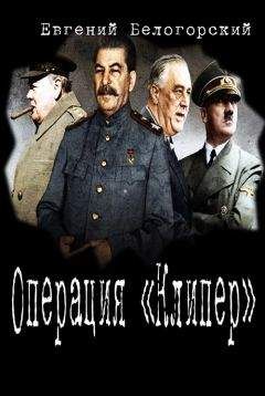 Евгений Белогорский - Операция "Кондор"