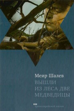 Меир Шалев - Вышли из леса две медведицы - <a href=