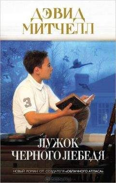 Дэвид Митчелл - Блэк Свон Грин - <a href=