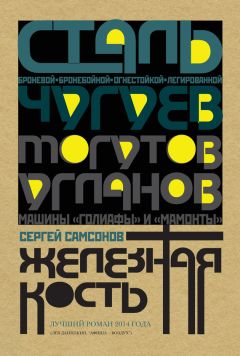 Сергей Самсонов - Железная кость - <a href=