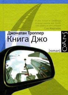 Джонатан Троппер - Книга Джо - <a href=