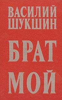Василий Шукшин - Брат мой... - <a href=