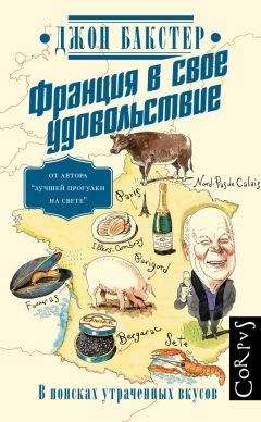 Джон Бакстер - Франция в свое удовольствие. В поисках утраченных вкусов - <a href=