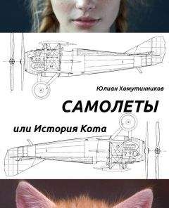 Юлиан Хомутинников - Самолеты, или История Кота - <a href=