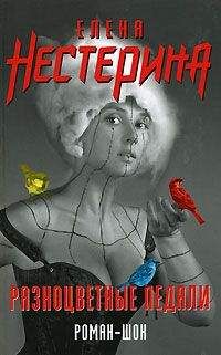 Елена Нестерина - Разноцветные педали - <a href=