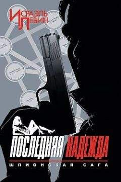 Нина Башкирова - Последняя надежда. Шпионская сага. Книга 1 - <a href=