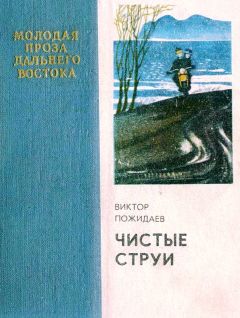 Виктор Пожидаев - Чистые струи - <a href=