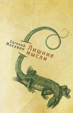 Евгений Москвин - Лишние мысли - <a href=