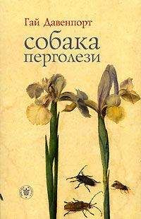 Гай Давенпорт - Собака Перголези - <a href=