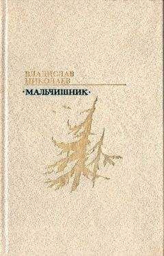 Владислав Николаев - Мальчишник - <a href=
