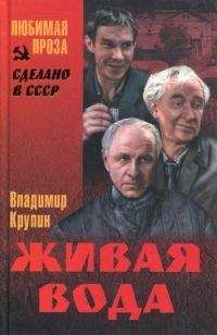 Владимир Крупин - Спасенье погибших - <a href=