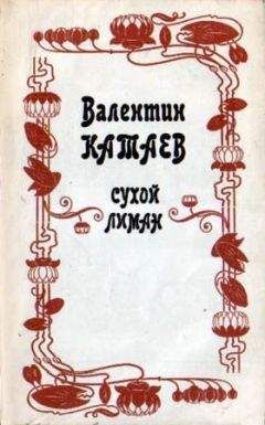 Валентин Катаев - Юношеский роман - <a href=