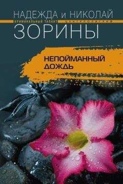 Надежда Зорина - Непойманный дождь - <a href=