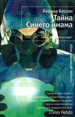 Бернар Бессон - Тайна Синего имама - <a href=