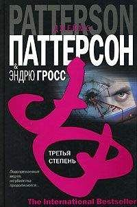 Эндрю Гросс - Третья степень - <a href=