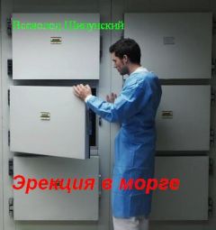 Всеволод Шипунский - Эрекция в морге