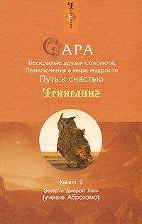 Эстер Хикс - Сара. Книга 2. Бескрылые друзья Соломона - <a href=