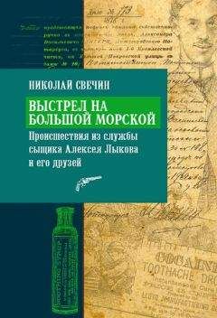 Николай Свечин - Выстрел на Большой Морской