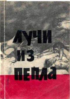 Роберт Юнг - Лучи из пепла. - <a href=