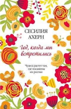 Сесилия Ахерн - Год, когда мы встретились - <a href=