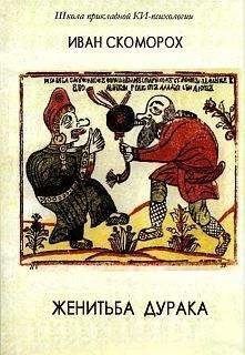Александр Шевцов (Андреев, Саныч, Скоморох) - Женитьба дурака. Теория и предварительная подготовка - <a href=