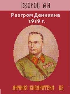 Александр Егоров - Разгром Деникина 1919 г. - Читать Книги Онлайн Бесплатно
