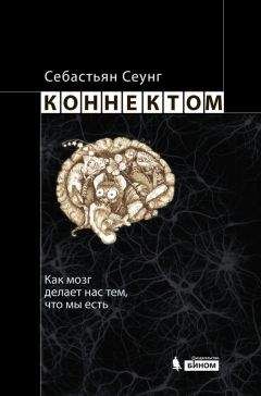 Себастьян Сеунг - Коннектом. Как мозг делает нас тем, что мы есть - <a href=