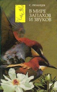 Сергей Рязанцев - В мире запахов и звуков - <a href=