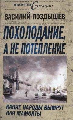 Василий Поздышев - Похолодание, а не потепление