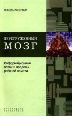 Торкель Клингберг - Перегруженный мозг. Информационный поток и пределы рабочей памяти - <a href=