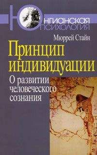 Мюррей Стайн - Принцип индивидуации. О развитии человеческого сознания - <a href=
