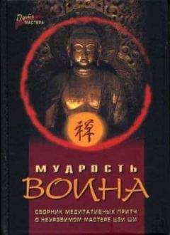 Павел Федотов - Мудрость воина. Сборник медитативных притч - <a href=