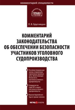 Леонид Брусницын - Комментарий законодательства об обеспечении безопасности участников уголовного судопроизводства - <a href=