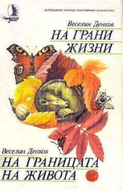 Веселин Денков - На грани жизни - <a href=