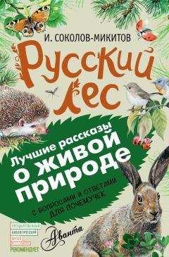 Иван Соколов-Микитов - Русский лес. С вопросами и ответами для почемучек - <a href=