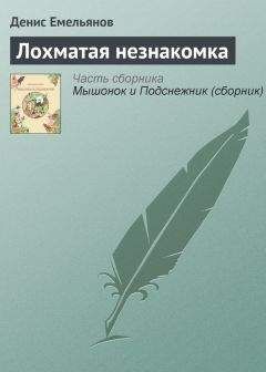 Денис Емельянов - Лохматая незнакомка - <a href=