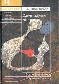 Сергей Потолицын - О «Элементарных частицах» М. Уэльбека - <a href=