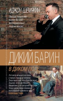 Джон Шемякин - Дикий барин в диком поле (сборник) - <a href=