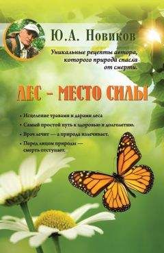 Юрий Новиков - Лес – место силы - <a href=
