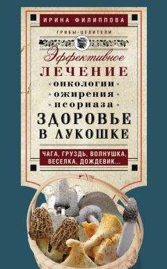 Ирина Филиппова - Здоровье в лукошке. Эффективное лечение онкологии, ожирения, псориаза. Чага, груздь, волнушка, веселка, дождевик…