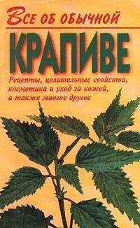 Иван Дубровин - Все об обычной крапиве - <a href=