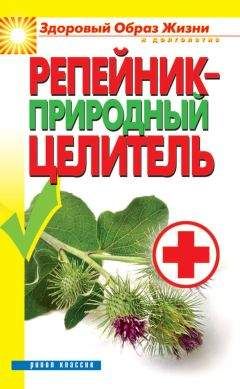 Светлана Филатова - Репейник – природный целитель - <a href=