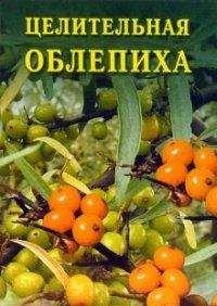 Иван Дубровин - Целительная облепиха - <a href=