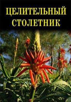 Иван Дубровин - Целительный столетник