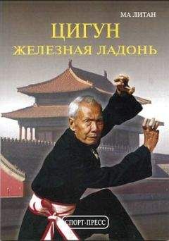 Ма Литан - Цигун "Железная ладонь". Практическое руководство - <a href=