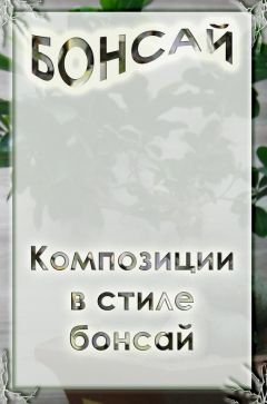 Илья Мельников - Композиции в стиле бонсай - <a href=
