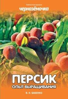 Владимир Бабенко - Персик. Опыт выращивания - <a href=