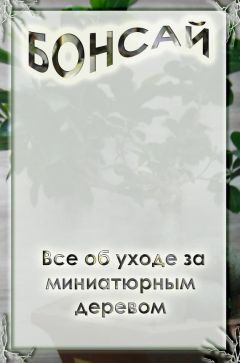 Илья Мельников - Все об уходе за миниатюрным деревом - <a href=